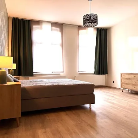 Stadtvilla Zentral 200qm Mit Sauna Und Gym Appartement Sondershausen